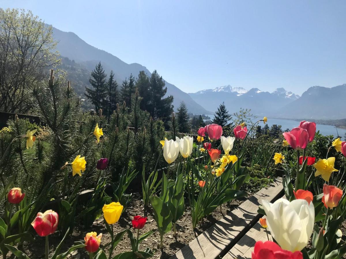 Chalet Christine Talloires Esterno foto